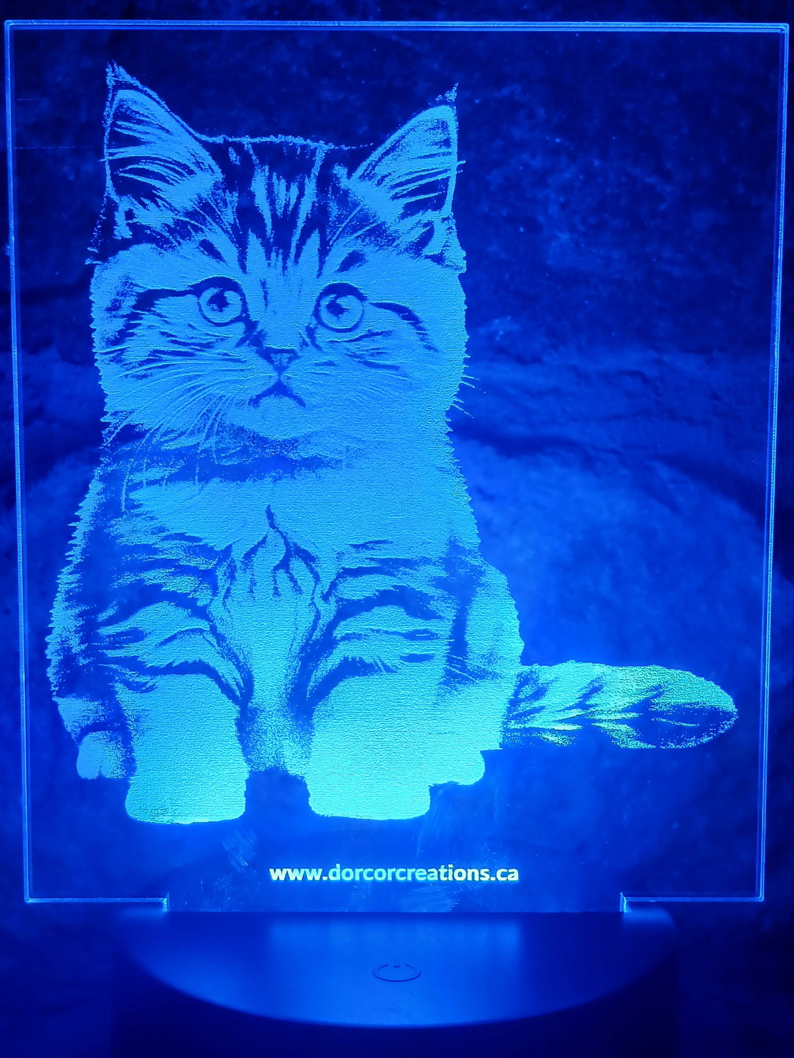 Visit page /acrylic-led-lights-cat