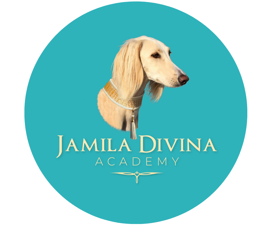 Visit Creator's profile