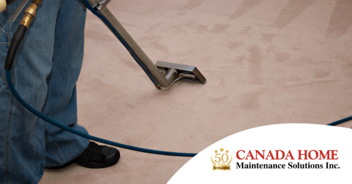 Why You Should Hire a Carpet Cleaner Canada Home Maintenance Blog