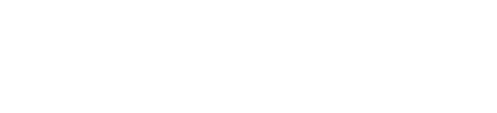 Visita il nostro sito web