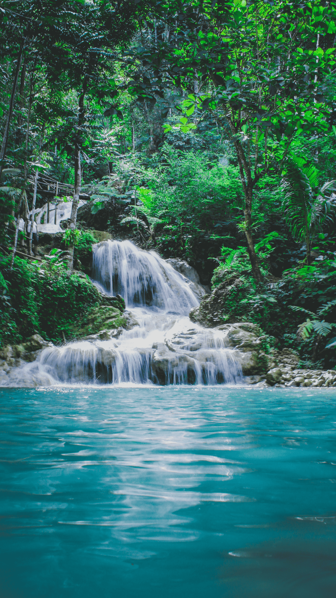 Visit Creator's profile