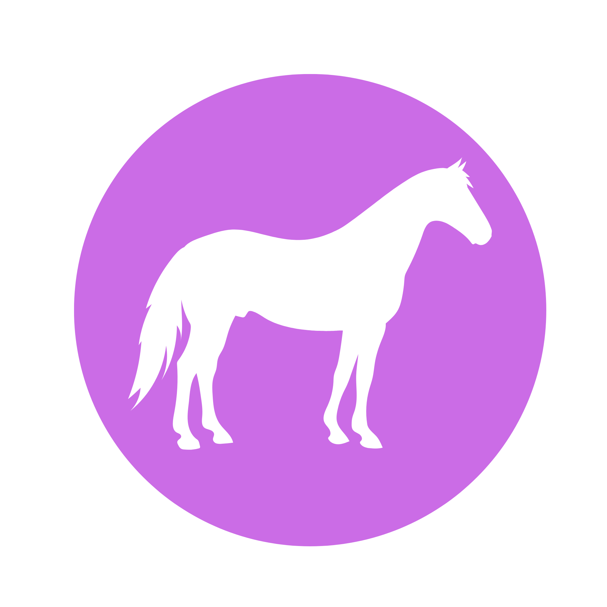 Allez sur la page /blog-chvx