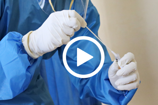 Allez sur la page /neo-animalia-betails-477