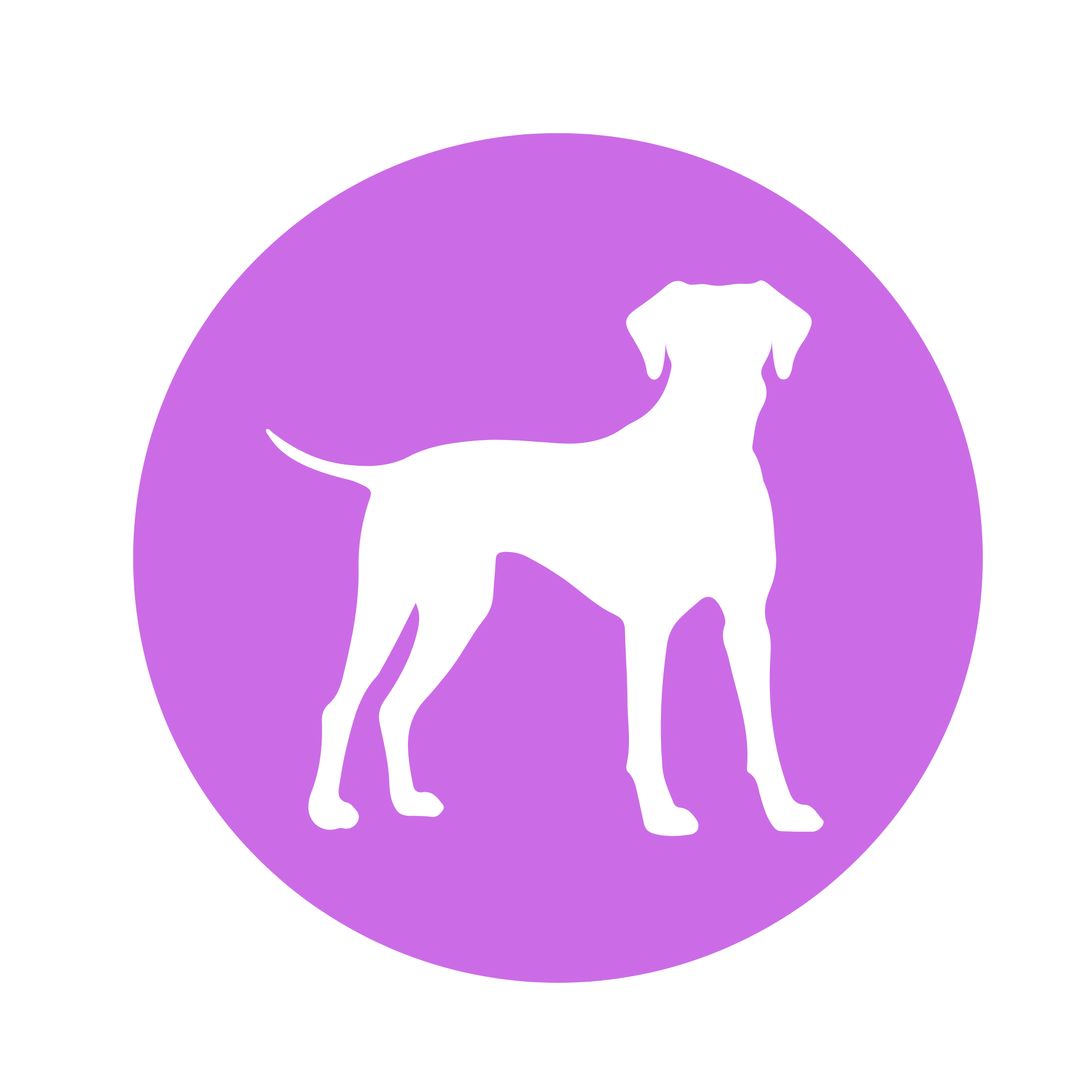 Allez sur la page /blog