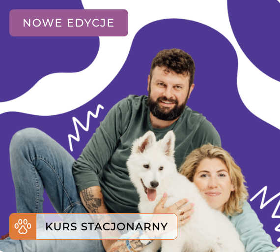 Common.Elements.Image.Web