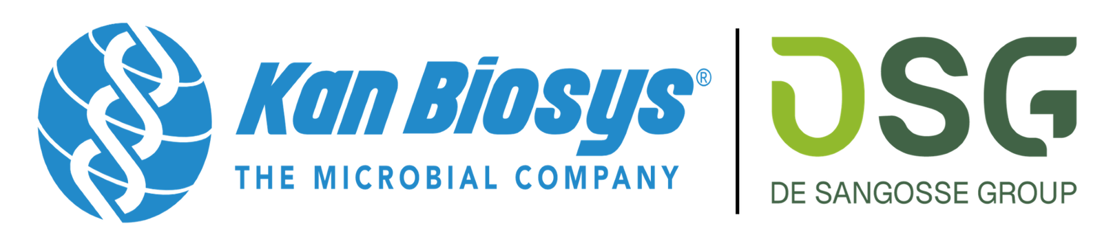 Common.Elements.Image.Web