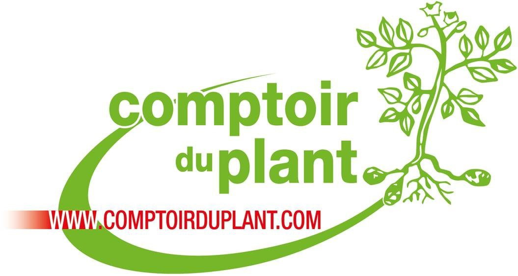 Common.Elements.Image.Web