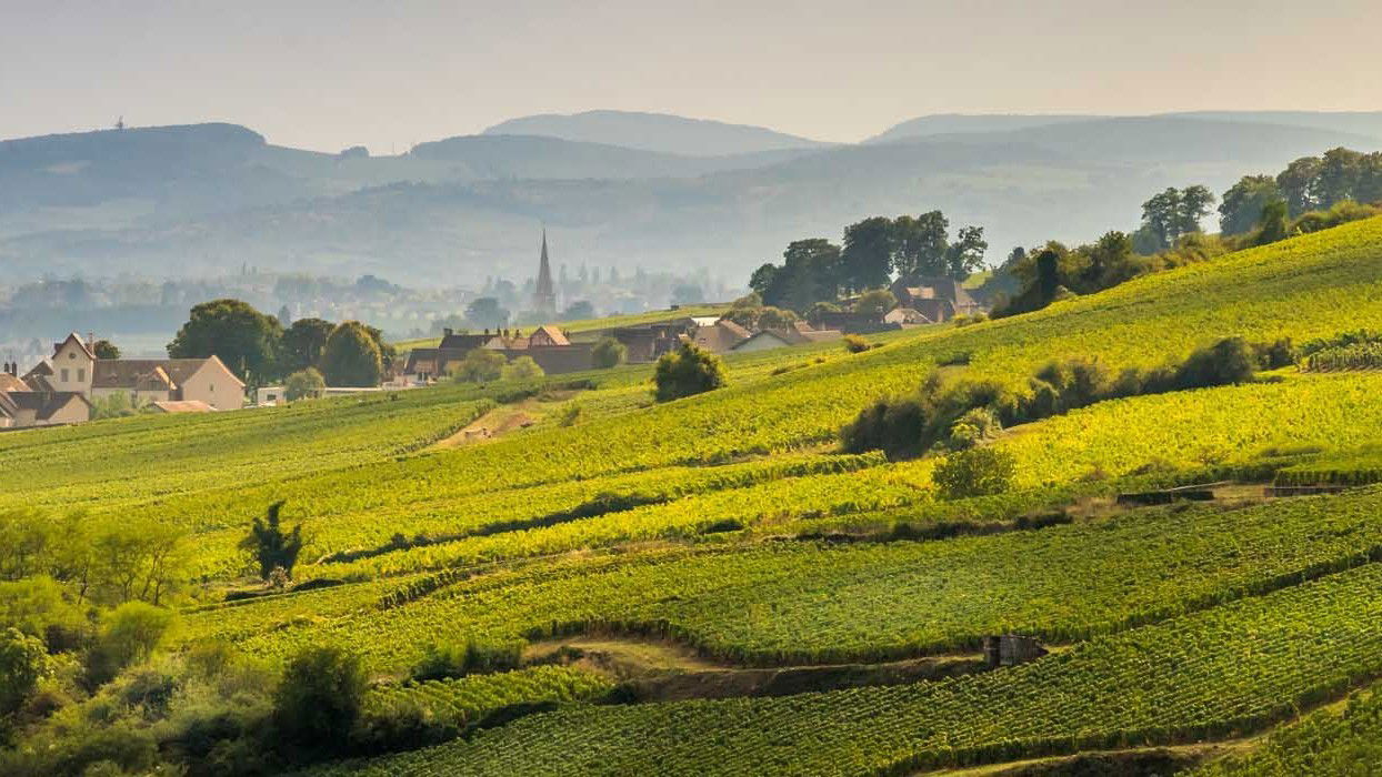 Paysage région Bourgogne Franche Comté